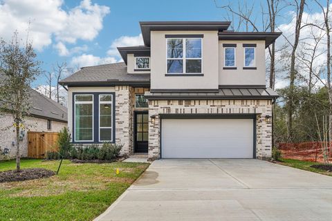 231 Congo Bay Circle Willis TX 77318