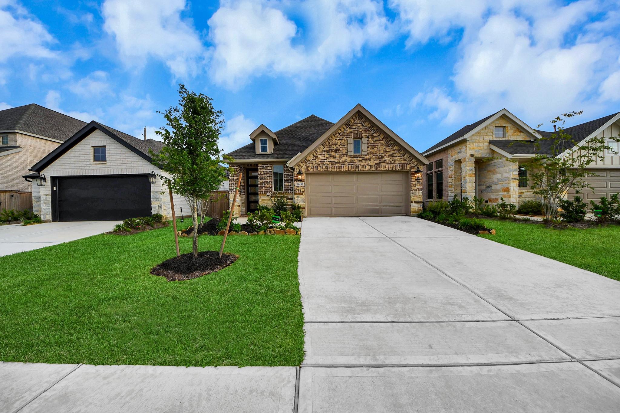27210 Butterfly Mint Lane