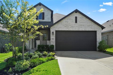 Photo of 169 Emory Birch Drive, Montgomery, TX 77316 (MLS # 3439372)