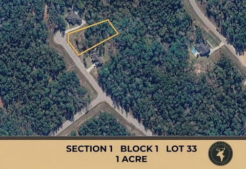 Photo of 147 Eagle Run Road, Willis, TX 77378 (MLS # 46429428)