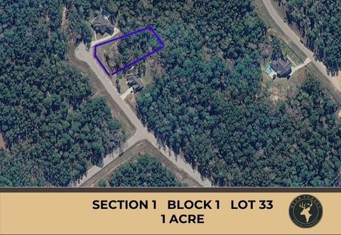 Vacant Land For Sale - 147 Eagle Run Road<br/> Willis, TX 77378