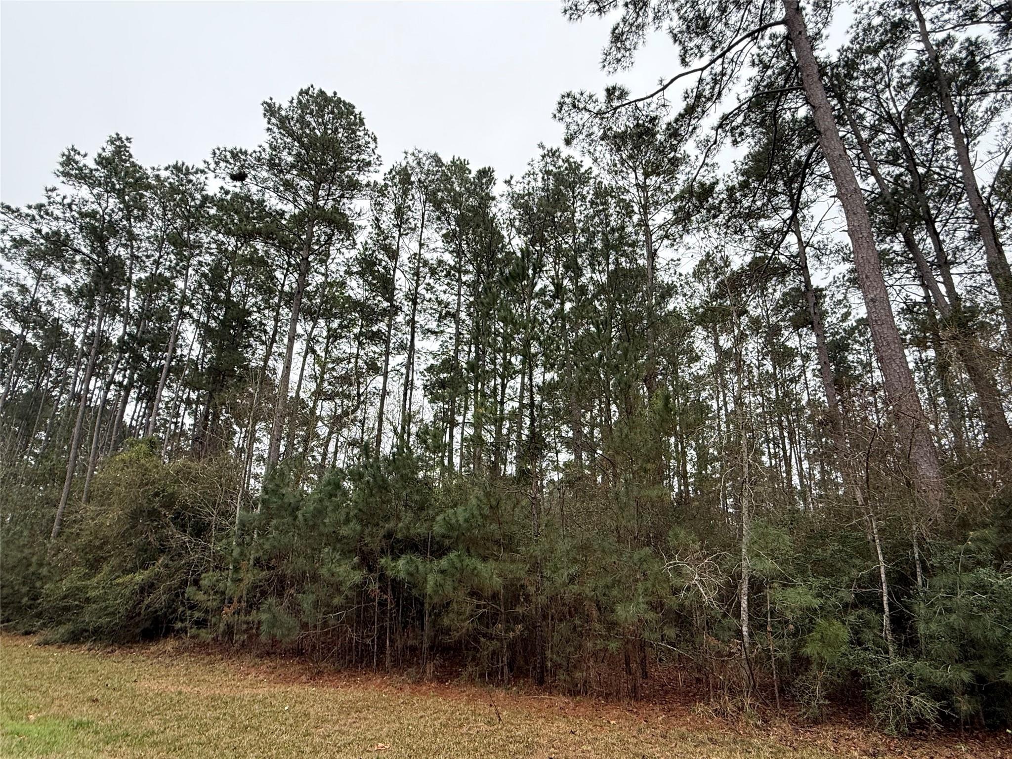 10213 S Autumn Leaf Circle