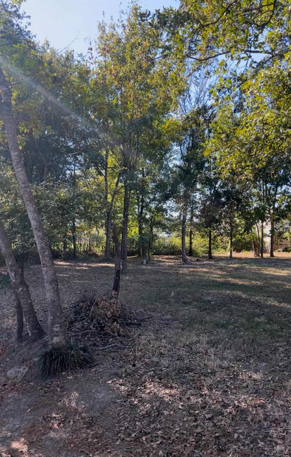 000 Texarkana Drive