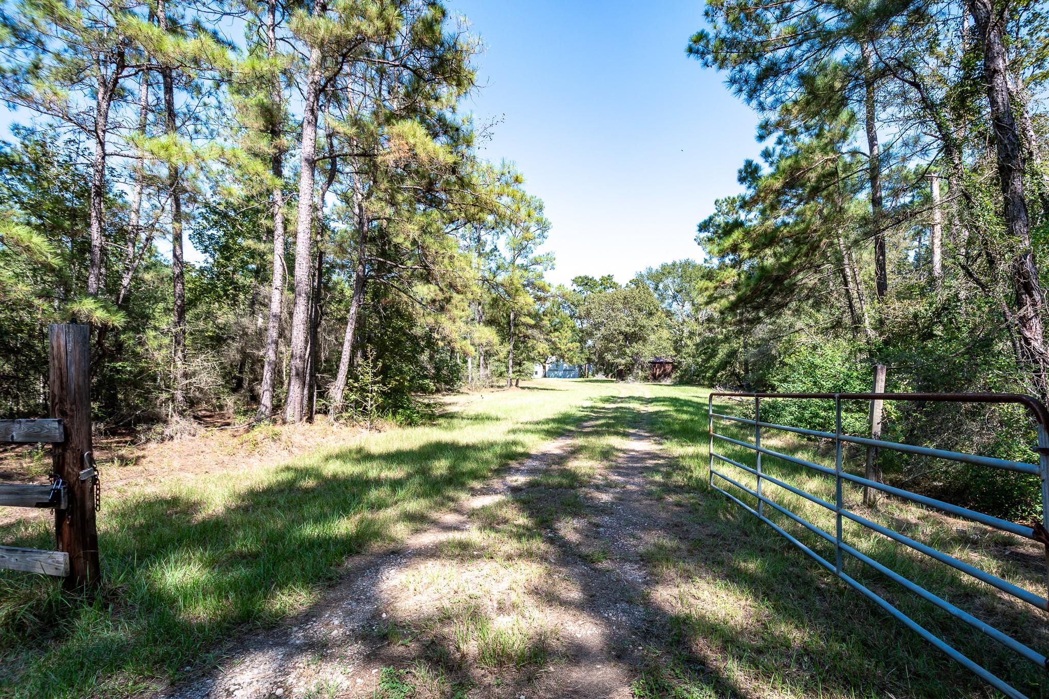 11029 Crockett Martin Road