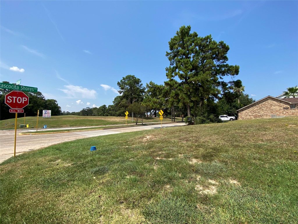 Photo of 20102 Atascocita Shores Drive, Atascocita, TX 77346 (MLS # 15701587)