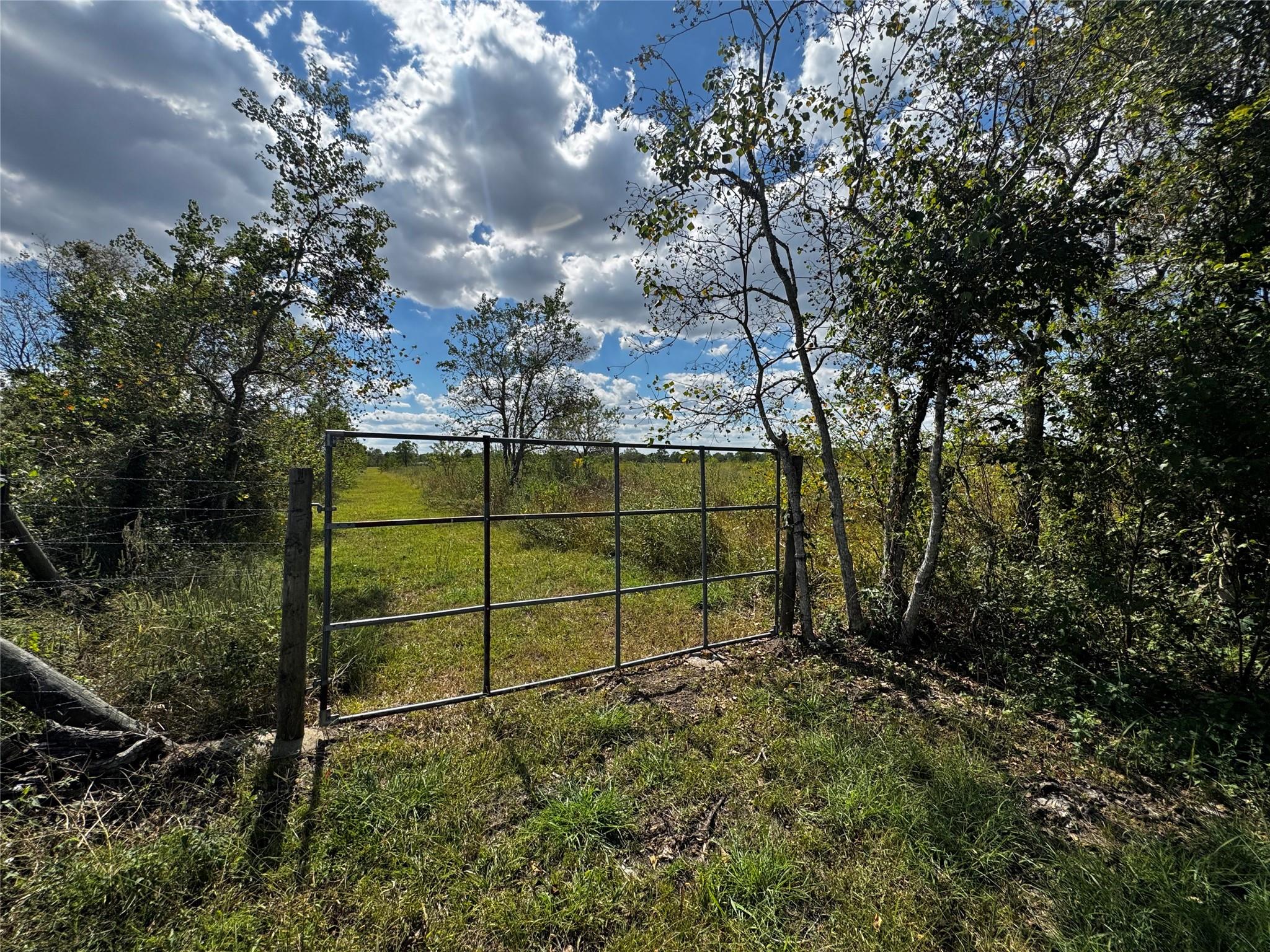 11703 County Road 48
