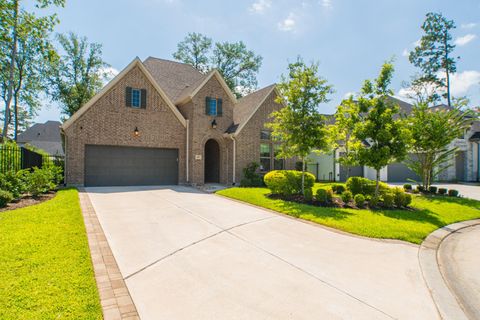 Photo of 49 Cassena Grove Place, The Woodlands, TX 77375 (MLS # 19282871)
