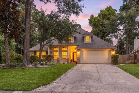 Photo of 170 W Drifting Shadows Circle, Conroe, TX 77385 (MLS # 41174374)
