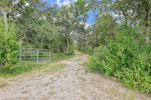 Photo of 6306 County Road 244, Brazoria, TX 77422 (MLS # 81272982)