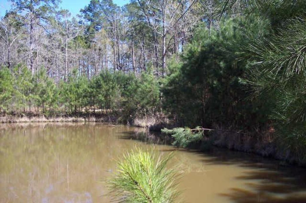 Photo of 4214 Highland Lakes, Montgomery, TX 77316 (MLS # 86505771)