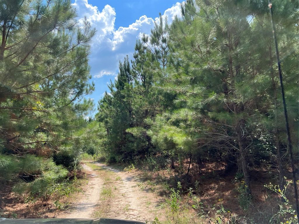 Photo of 8 Fm 247, Huntsville, TX 77320 (MLS # 20070103)