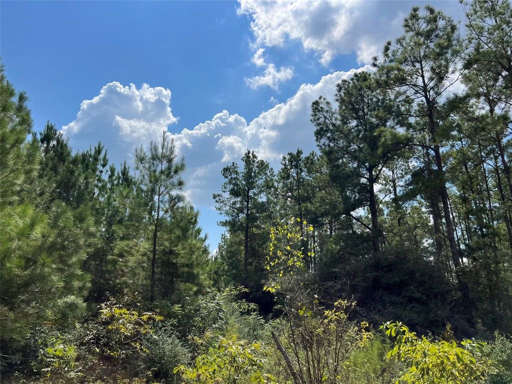 Photo of 8 Fm 247, Huntsville, TX 77320 (MLS # 20070103)