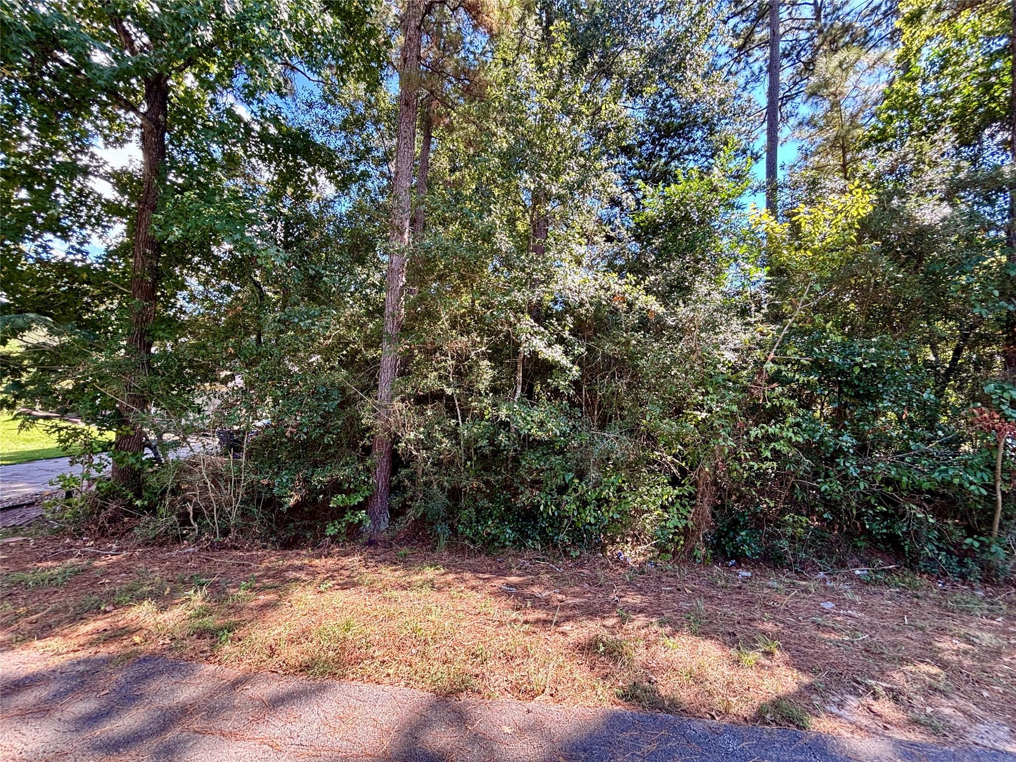 LOT 1064 Royal Pines Drive