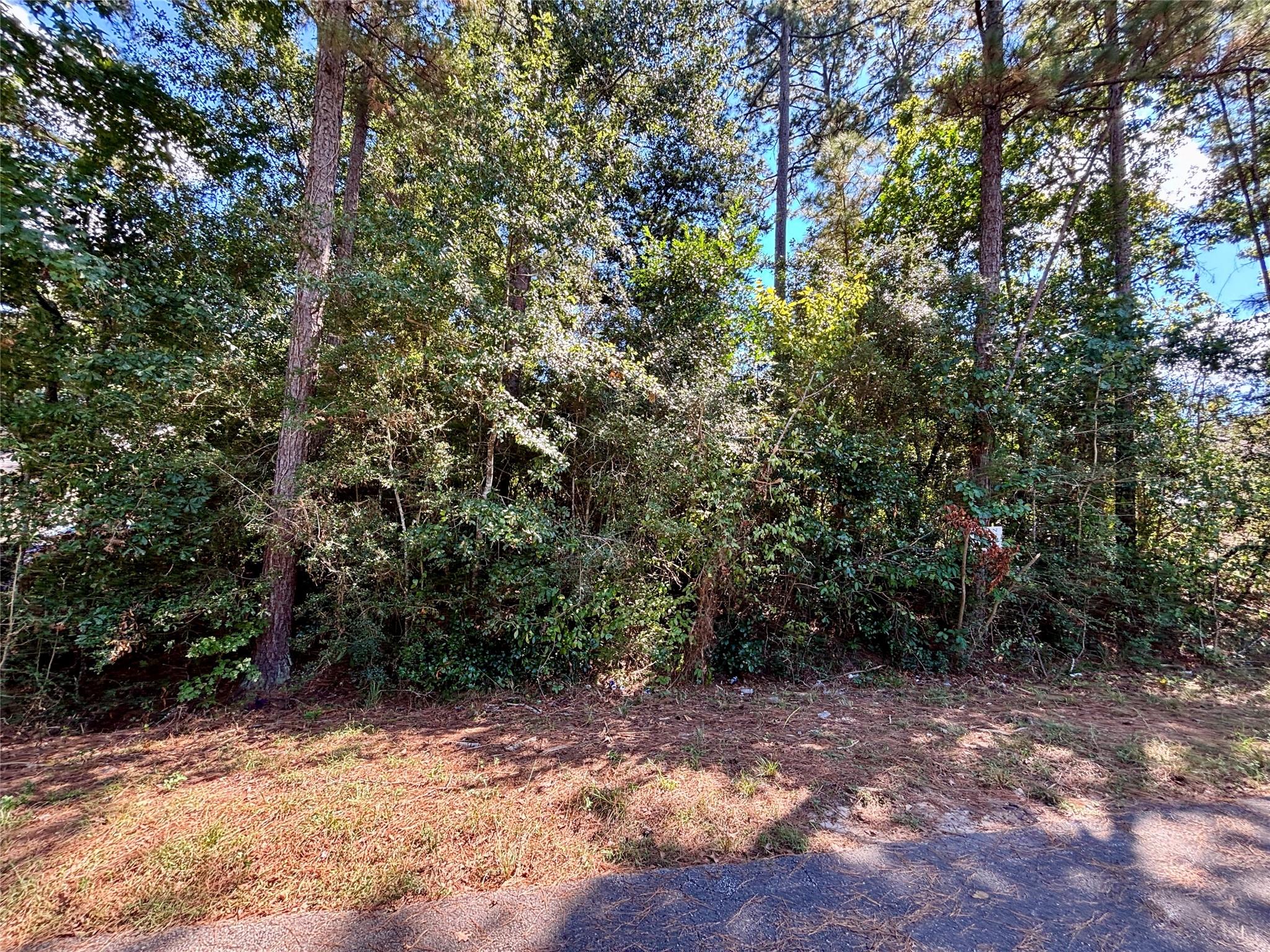 LOT 1064 Royal Pines Drive