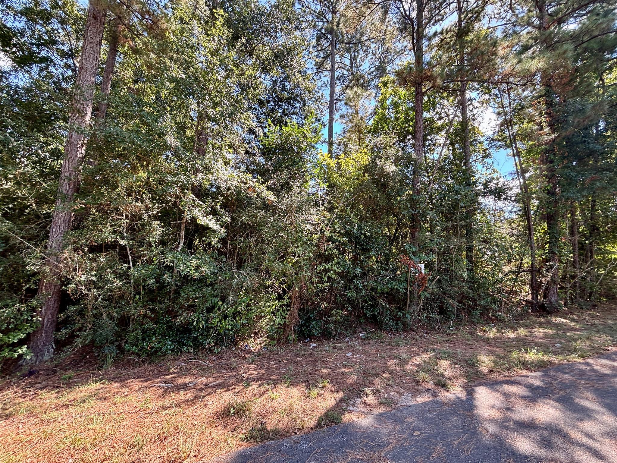 LOT 1064 Royal Pines Drive