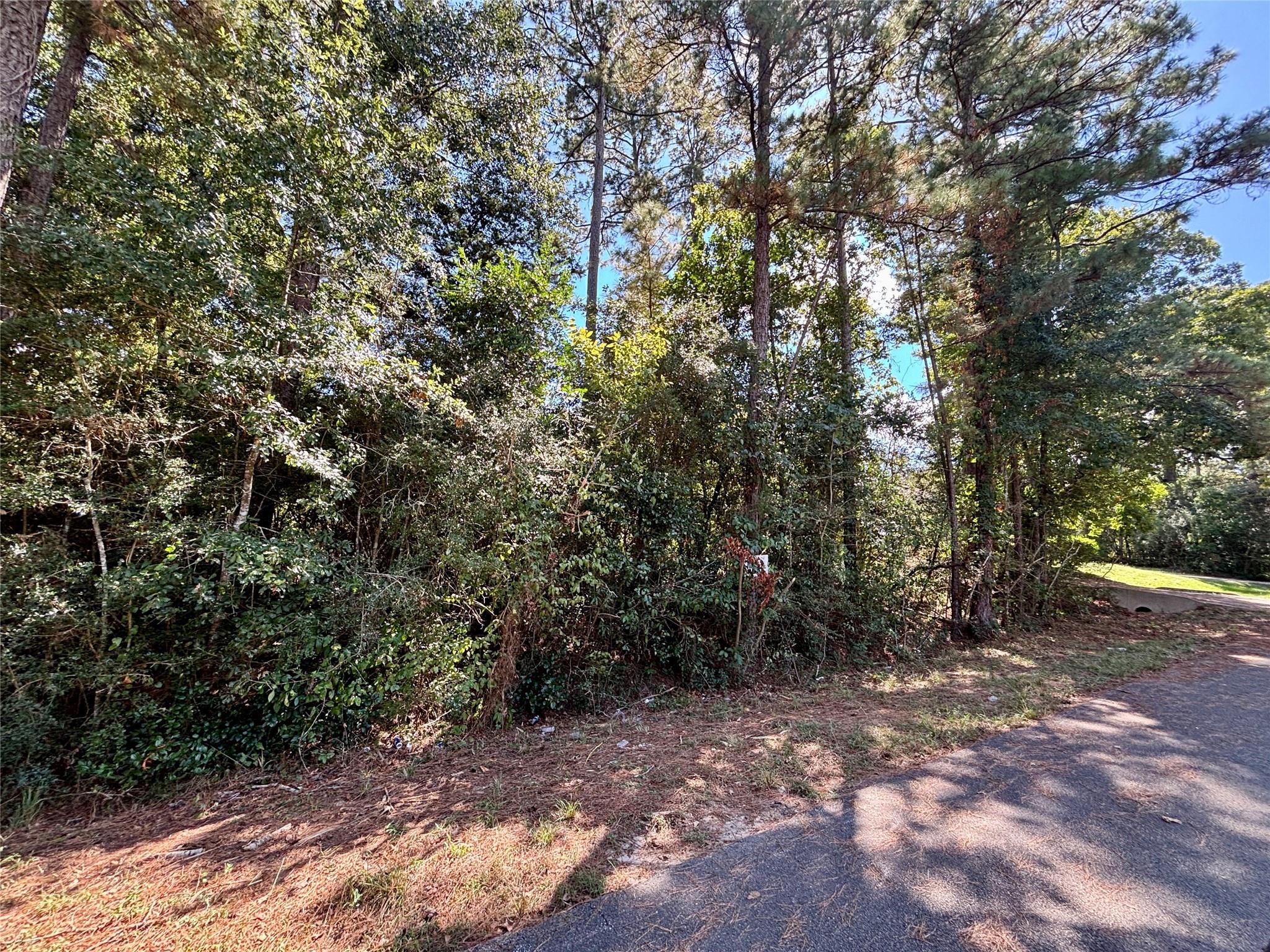 LOT 1064 Royal Pines Drive