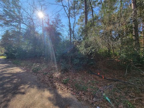 Lot 13-12149 Goliad Willis TX 77378