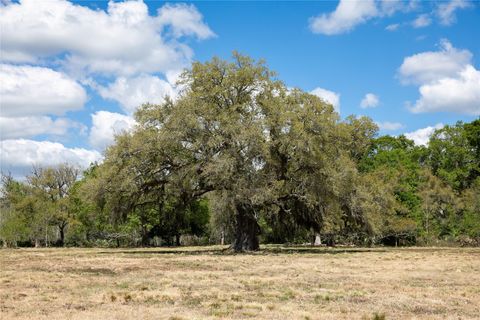 Vacant Land For Sale - 14.5 ACRES Cr 320<br/> Brazoria County, Brazoria, TX 77422