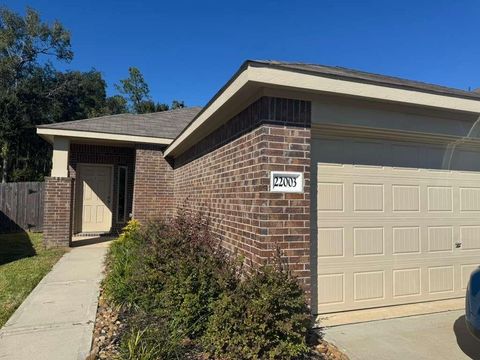 Photo of 22003 Birchwood River Trail, New Caney, TX 77357 (MLS # 13388534)