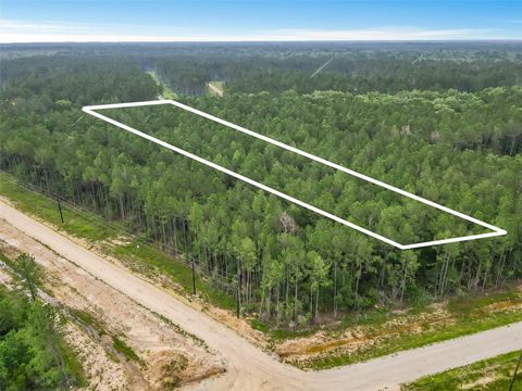 Photo of 6773 Black Cat Road, Sour Lake, TX 77659 (MLS # 10313850)