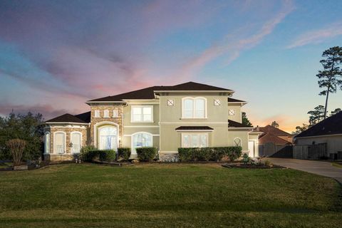 Photo of 25606 Windy Isle Court, Spring, TX 77389 (MLS # 41710076)