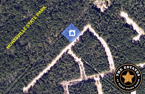 Photo of 172 Fond Fields Road, New Waverly, TX 77358 (MLS # 91148898)