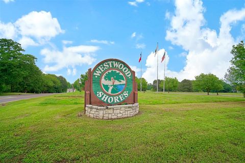 Tiny photo for 117 Brookside Drive, Trinity, TX 75862 (MLS # 88198966)