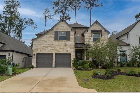 712 Fall Rock Branch Drive Conroe TX 77304