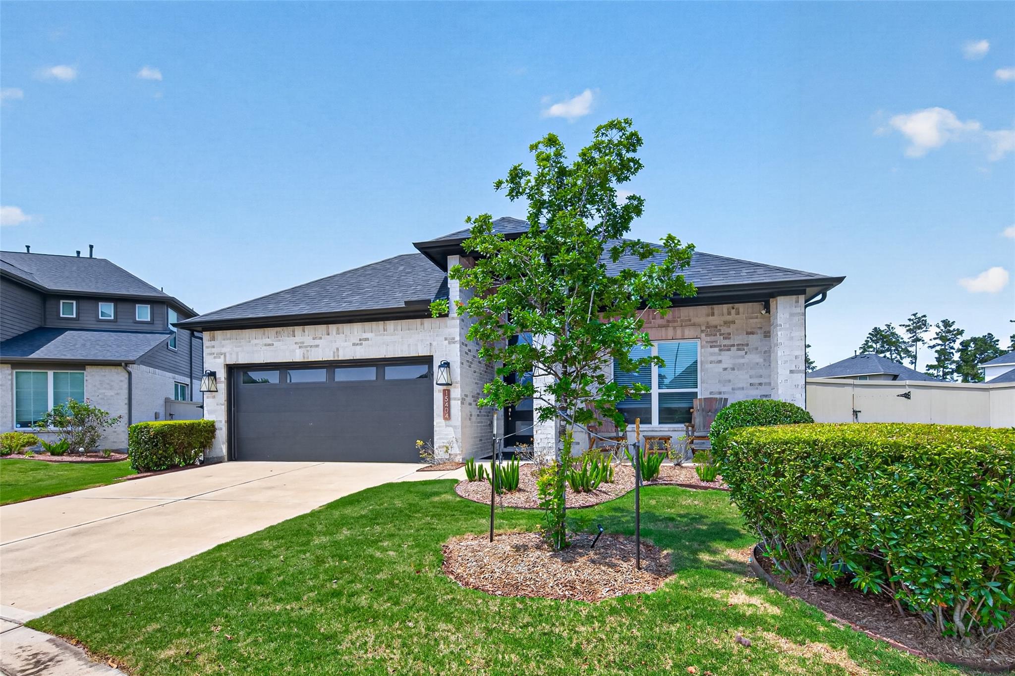 15404 Bicknells Thrush Court