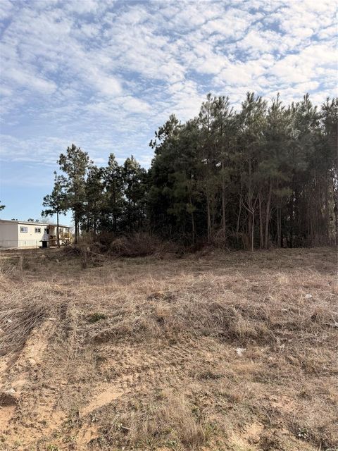 Photo of 10024 Road 5868, Dayton, TX 77535 (MLS # 63321796)