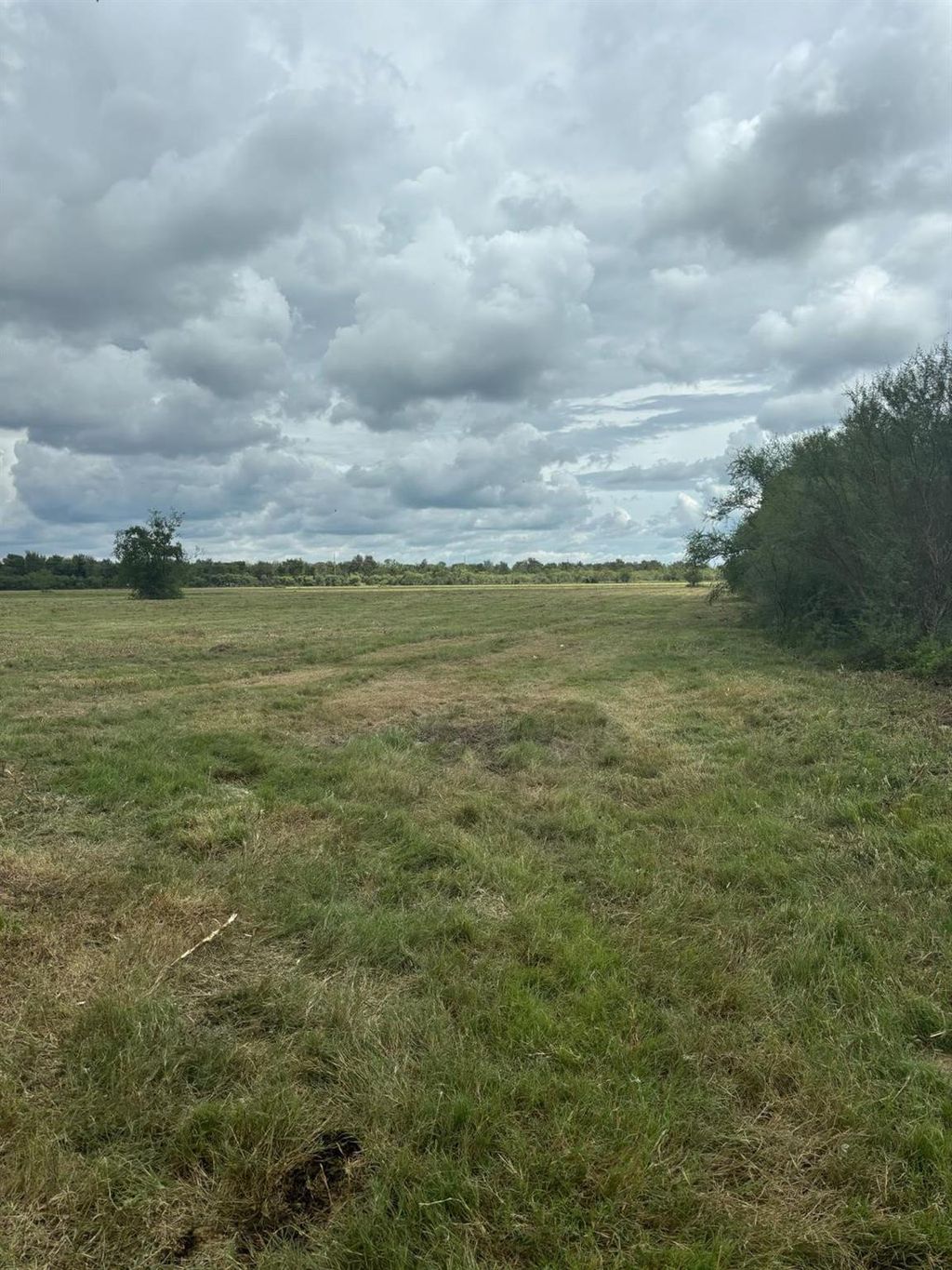 Photo of 0 Orange Hill Road, Sealy, TX 77474 (MLS # 48521407)