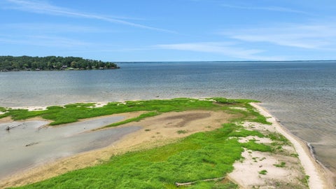 Photo of 0 Tbd Harrell Cemetery Road, Coldspring, TX 77331 (MLS # 49858376)