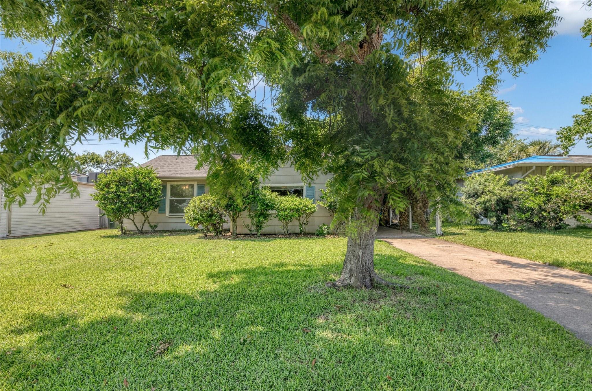 119 Barracuda Avenue