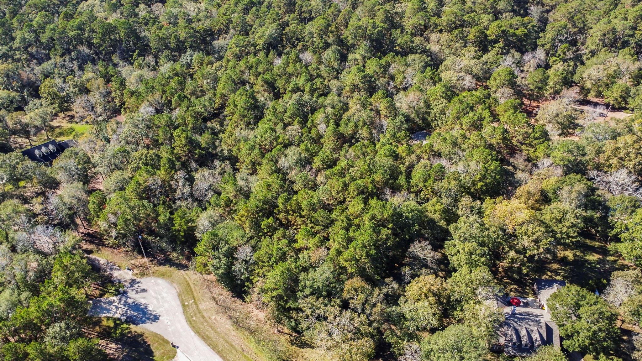 102 Forest Wind Court
