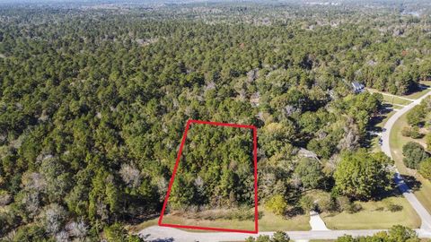 102 Forest Wind Court Montgomery TX 77316