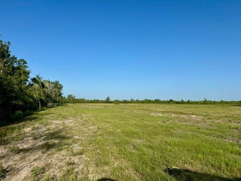 Photo of 0 Fm 1462, Rosharon, TX 77583 (MLS # 62011516)