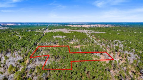 Vacant Land For Sale - TBD Bo Brown<br/> Trinity, TX 75862