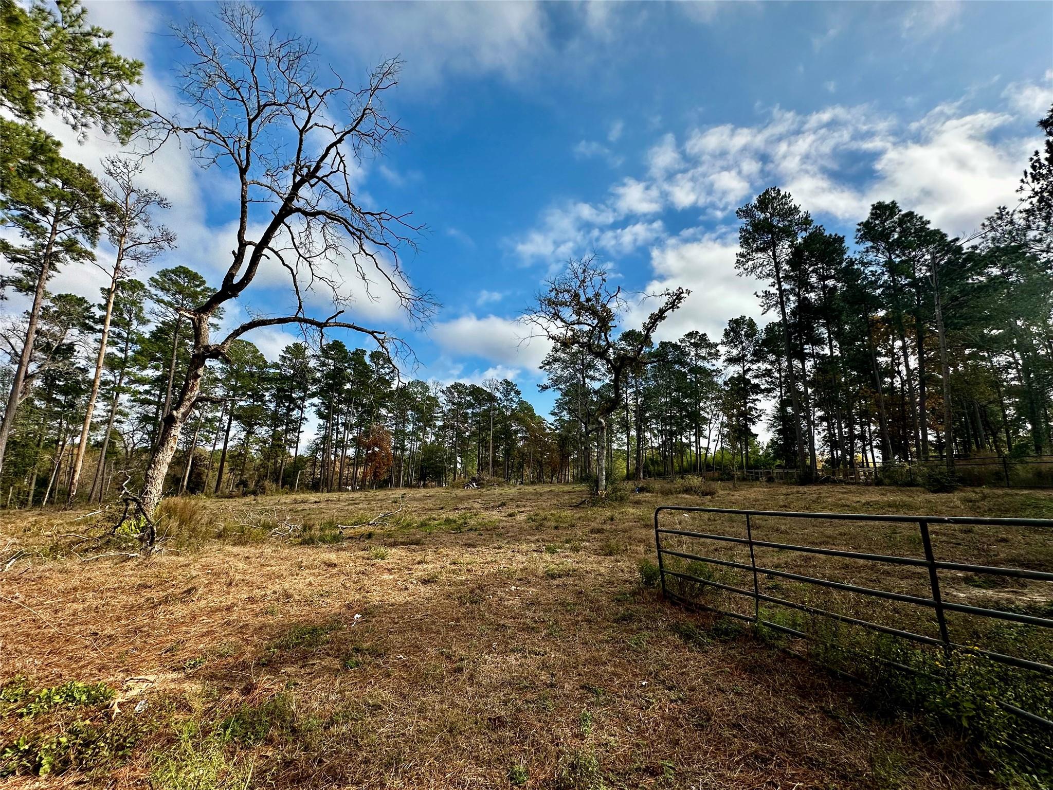 15238 Crape Myrtle Lane