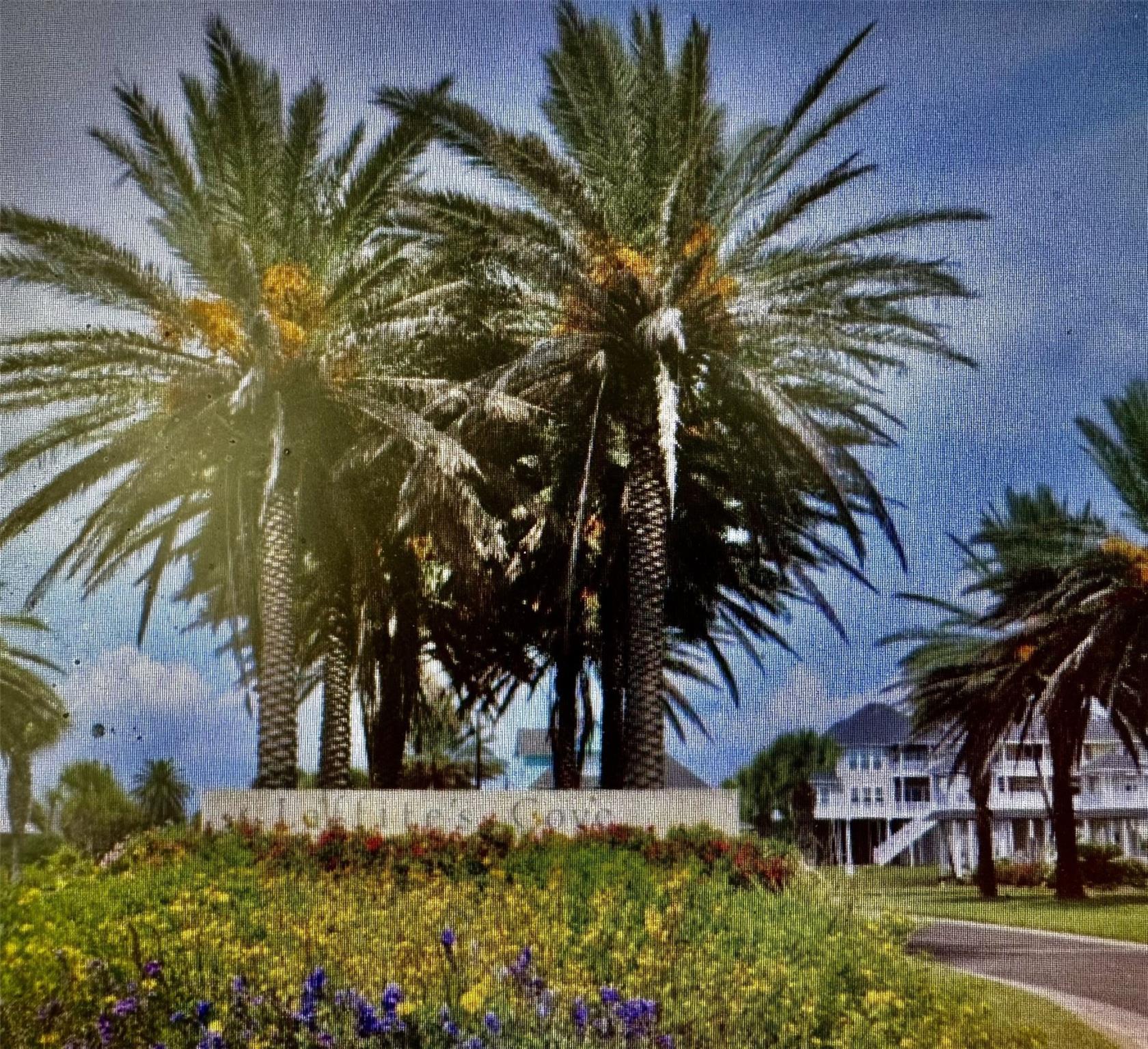 3619 Foremast Drive