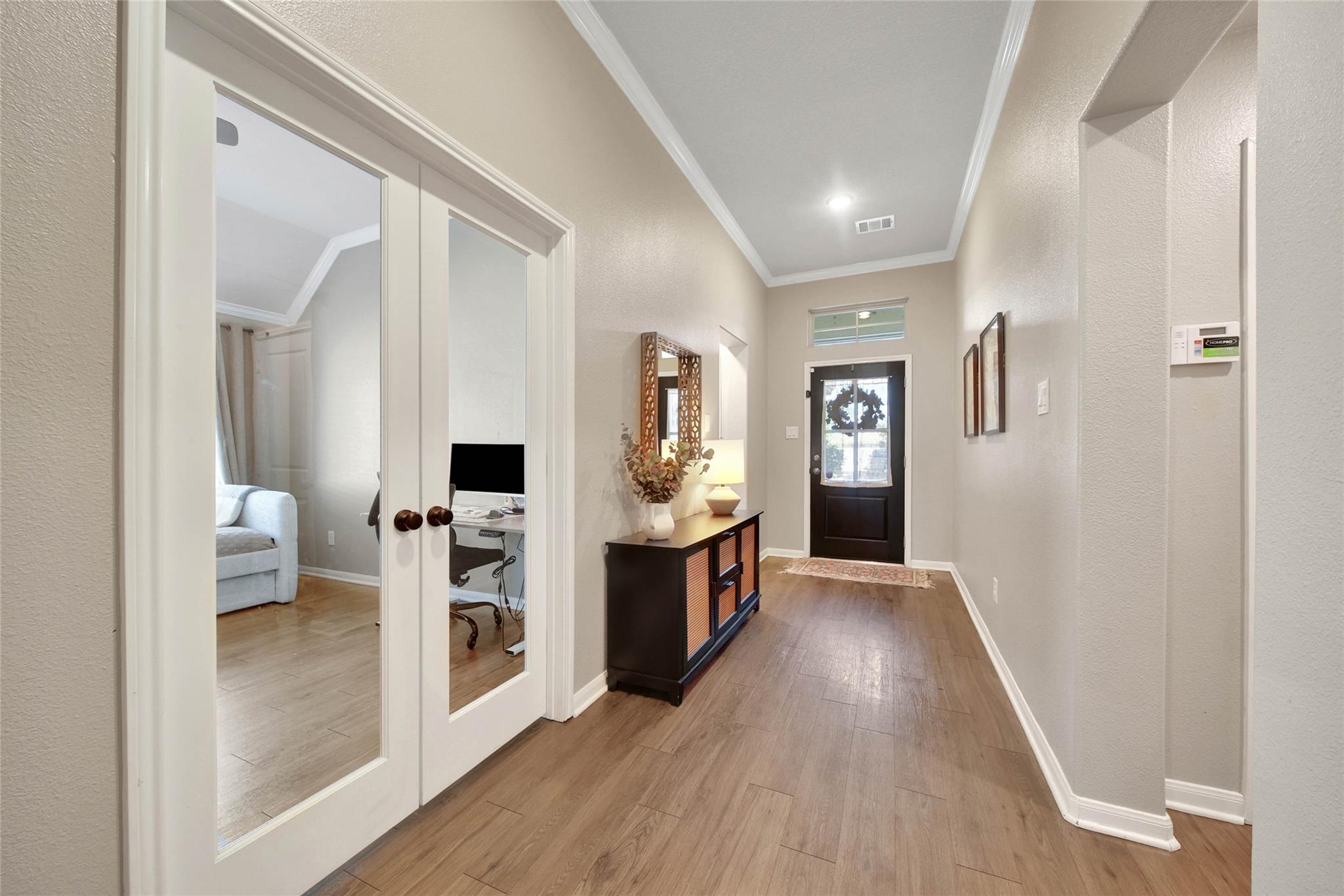 31207 White Cypress Lane Lane