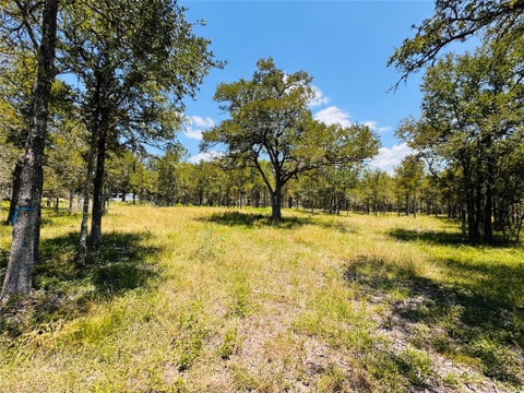 Photo of 1132 Kickler RD, Fayetteville, TX 78940 (MLS # 98617403)