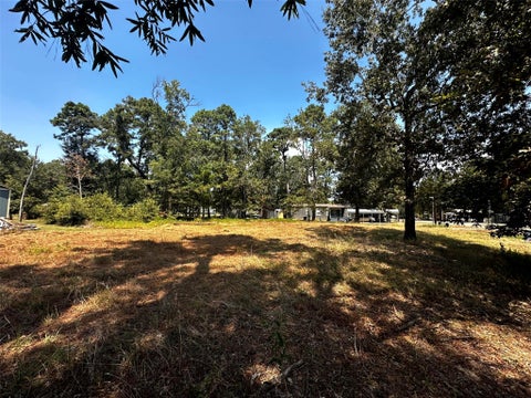 Photo of 170 Tobago Lane, Point Blank, TX 77364 (MLS # 51428668)