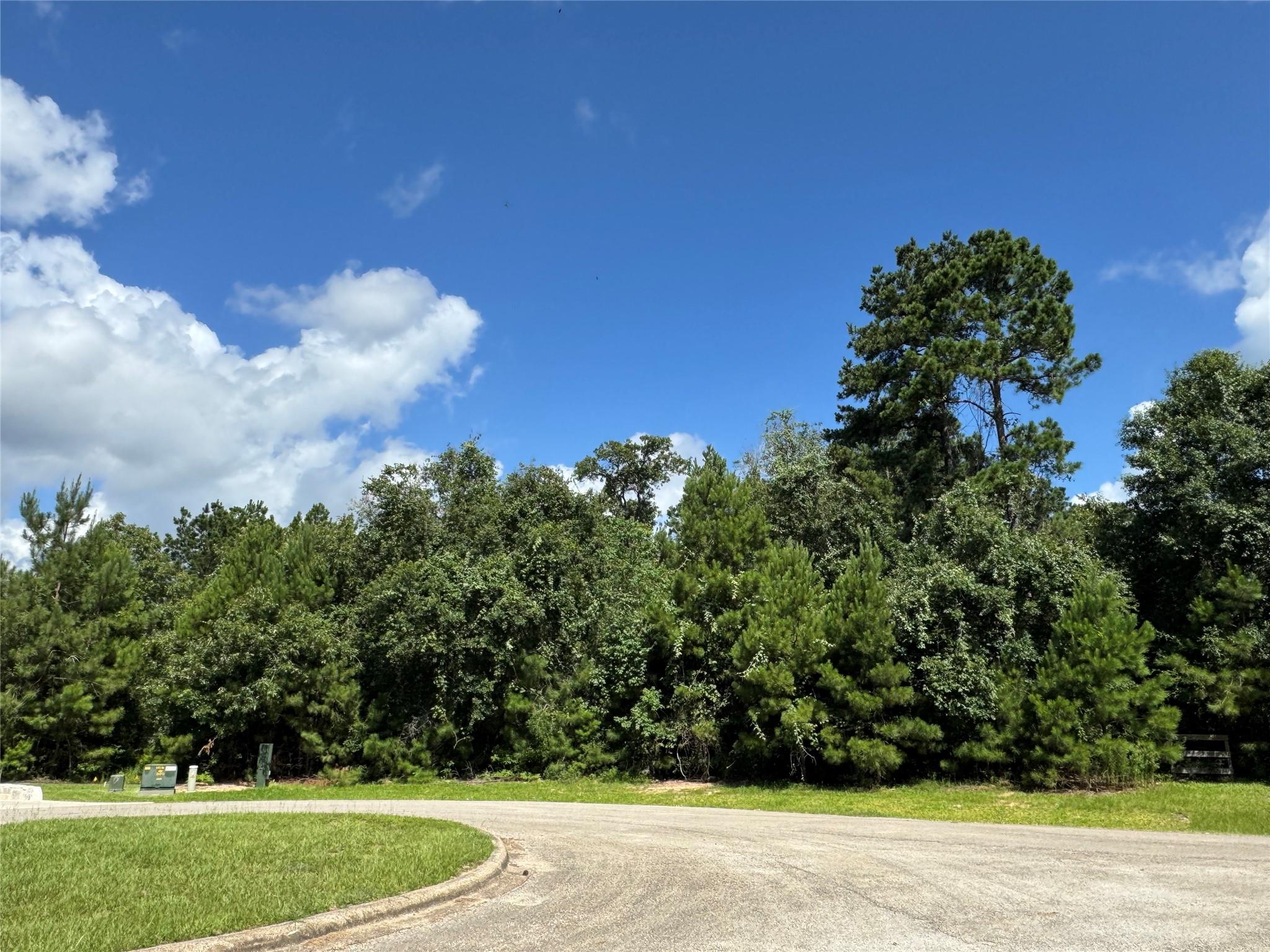 13032 Royal Oak Court