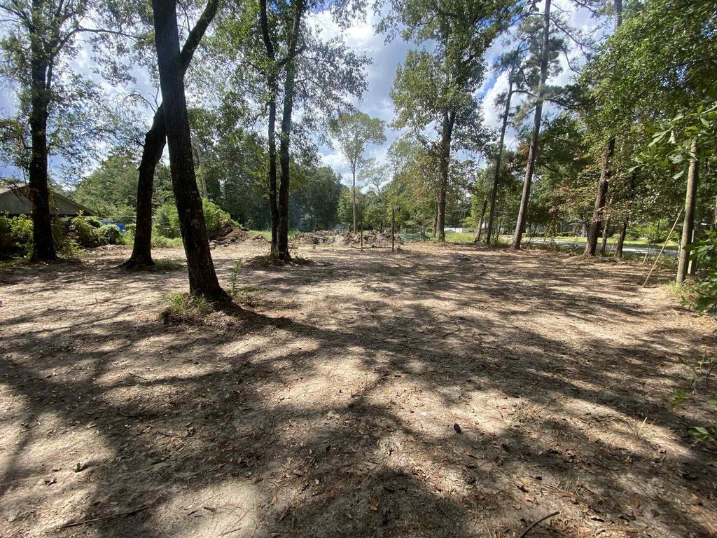 Photo of 19626 Forest Drive, New Caney, TX 77357 (MLS # 63379949)