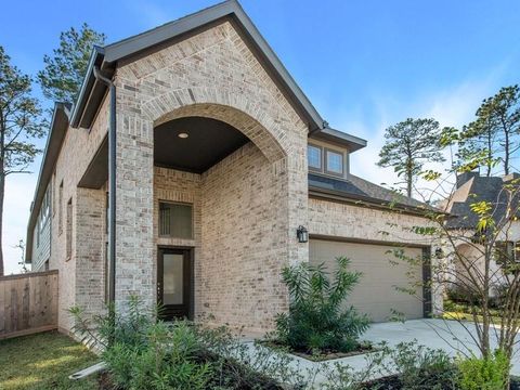 410 Soapberry Tree Court Conroe TX 77318