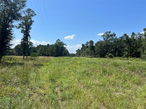 Photo of 3 3152 Road, Livingston, TX 77351 (MLS # 57276102)