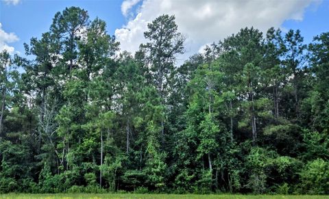 Photo of 157 Rock Ranch Drive, New Waverly, TX 77358 (MLS # 47343326)