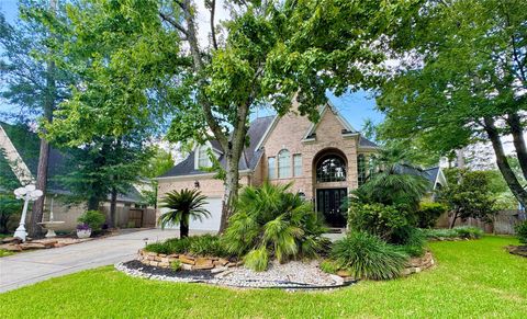 59 Acorn Cluster Court The Woodlands TX 77381