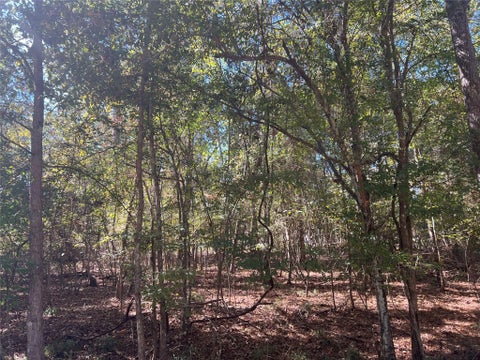Photo of 100 Rio Vista, Livingston, TX 77351 (MLS # 27847625)