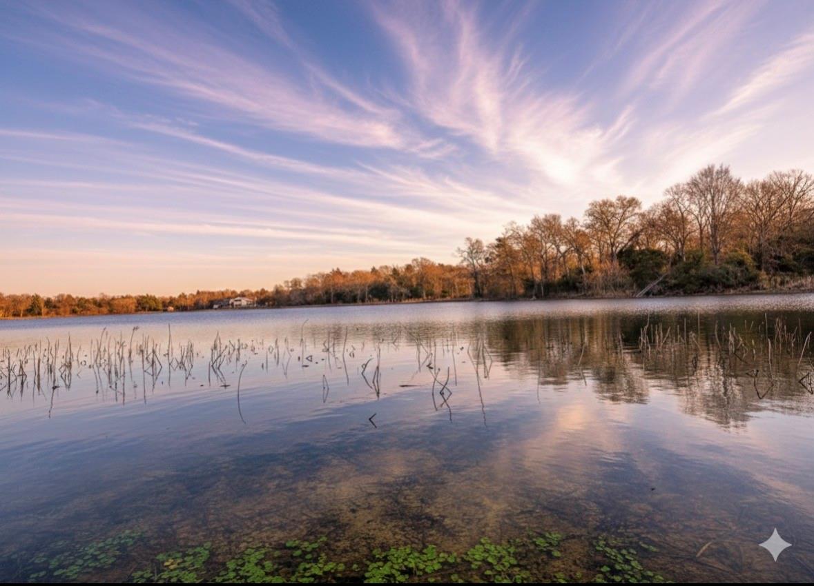 14556 County Road 445